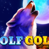Wolf Gold Slot Game in India – Why Nature-Themed Slots Are Winning Over Modern Players