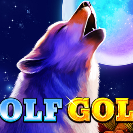Wolf Gold Slot Game in India – Why Nature-Themed Slots Are Winning Over Modern Players